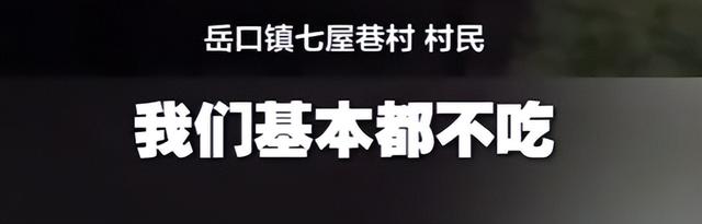 央视曝光毒红薯！商户主动投毒	，流窜至全国多地，背后利益链曝光