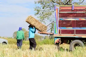 再这样搞下去，90%的农村家庭将会被拖垮，这些现象值得我们重视图片