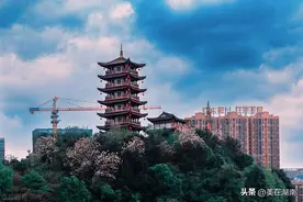 透过2024年永州普高职高招生计划指标，看初中生进入公办高中难度图片