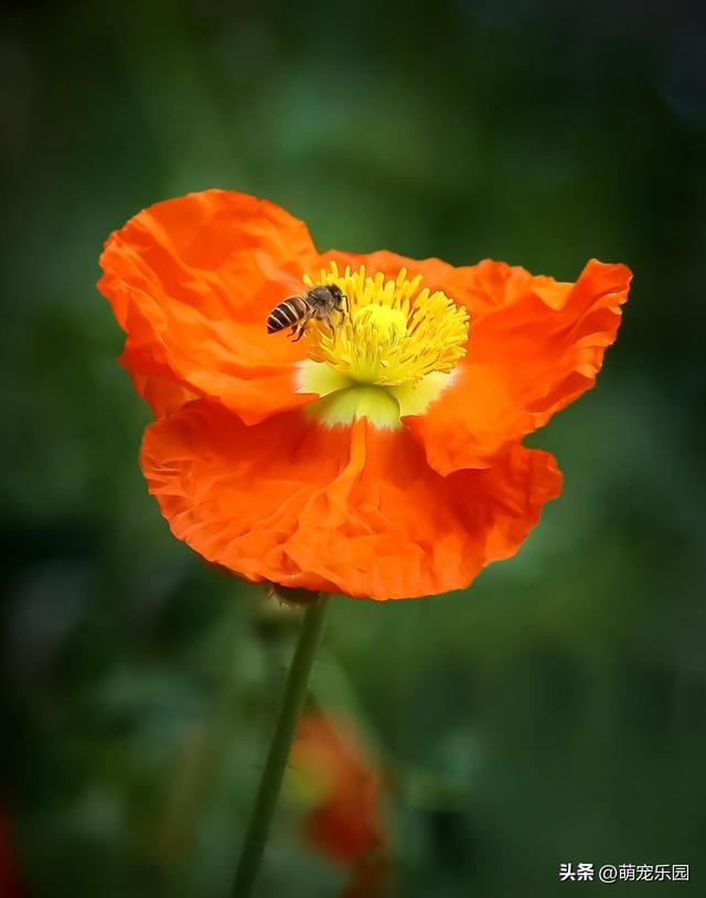 摄影追求清爽感，高手走减法路线	，果断舍弃刺眼元素