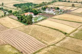 妇女主任和老村长的秘密（3）图片