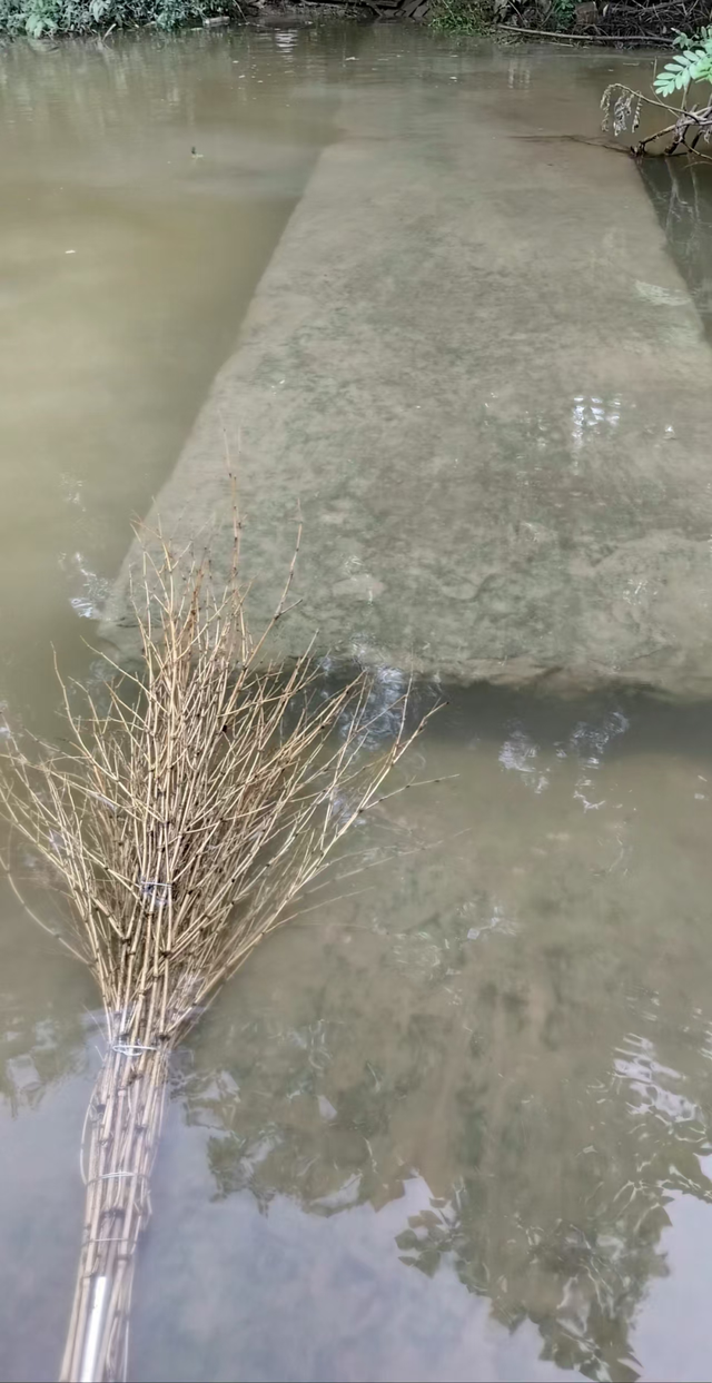 成都简阳：重访东溪桥——在汗水中打捞被遗忘的龙头
