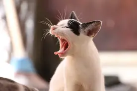 长时间对着电脑工作，研究说有这 14 个技巧可以缓解不适图片