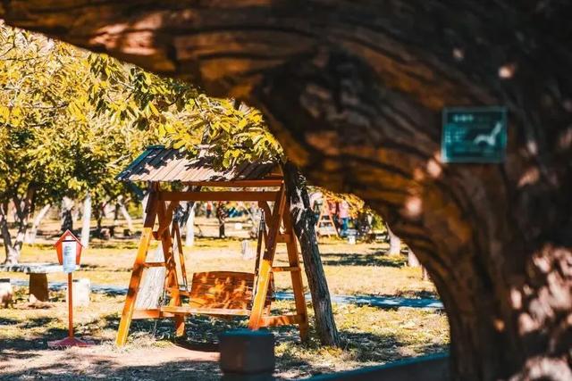 首发动态 | 水长城,藏着北京最美的秋天