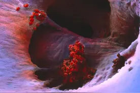 55岁大伯坚持做菜少放油、少放盐，半年后复查，他的血压如何了？图片