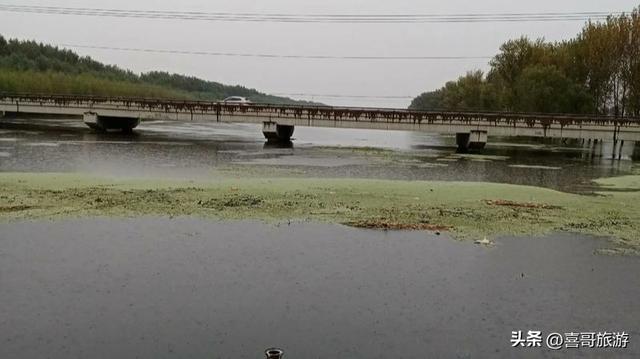 台安大麦科自然保护区：藏身辽河平原的“湿地仙境”，候鸟天堂！