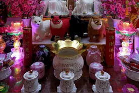 各地都有仙家给人看事，这有没有科学依据呢？很邪门啊图片