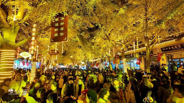 “银”客天下,“杏”福秦州:天水黄金大道奏响初冬浪漫狂想曲