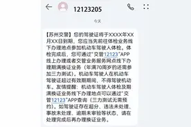 啥时验车、啥时体检？“顺心办”让你更顺心图片