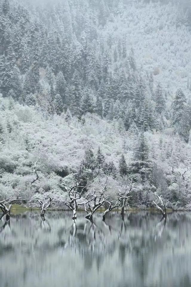 秋天的四姑娘山，我要给你五颗星！