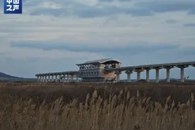 山东青岛一地铁站建成近6年，为何迟迟未启用？图片
