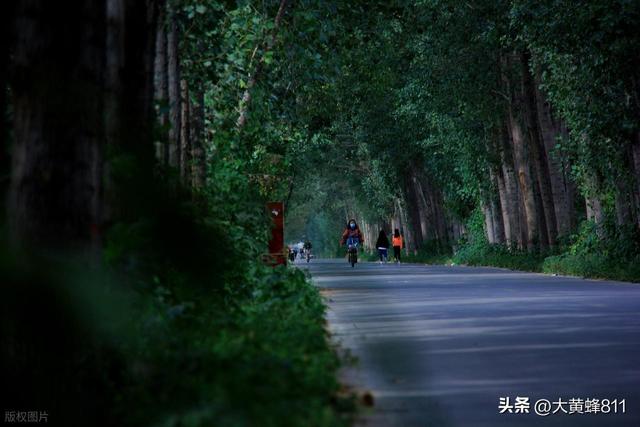 认识大美河南的每个县——第26波：延津