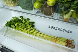 你的厨房缺的不是空间，而是这个家电选错了！图片