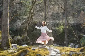 中国最绿的县在陕西！2天1夜，去这座秦岭小城“躺平”！超惬意图片