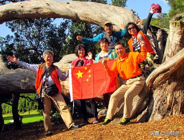 大洋洲旅游：探寻新西兰帆之都奥克兰（图）