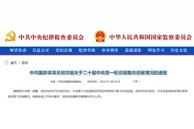 国家体育总局党组：深刻汲取中国足协系统性、塌方式腐败教训图片