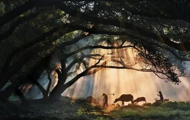 中国最美十大美景：去过3个算资深玩家，最后1个藏着现实版桃花源