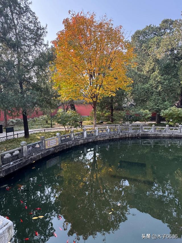 【京城寺记】香山卧佛寺