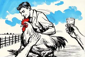 鸡是怎么“交配”的？一口气了解“鸡生”，原来做鸡确实不容易图片