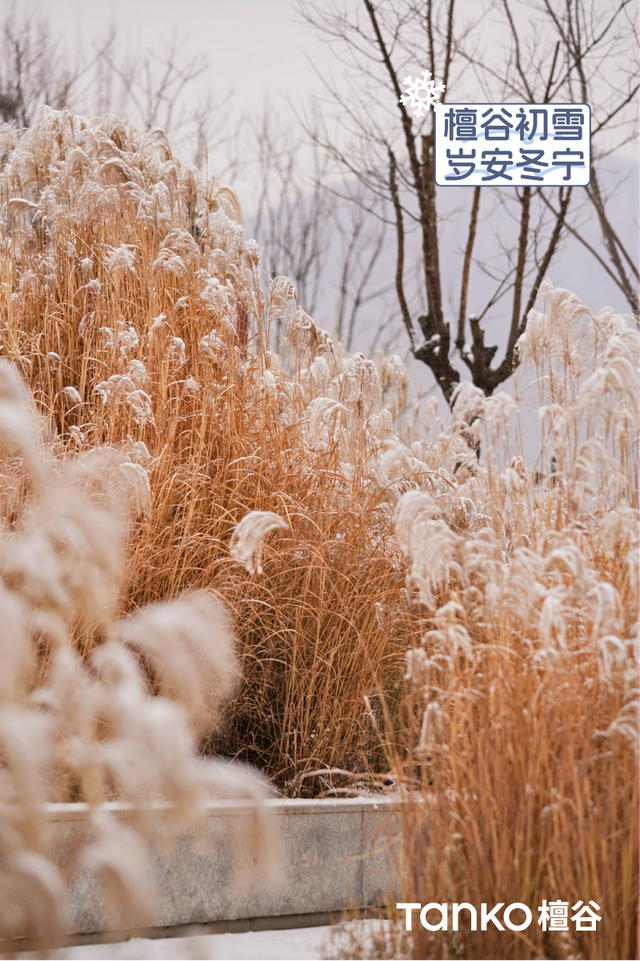 还有三天！檀谷冰雪季，即将登场