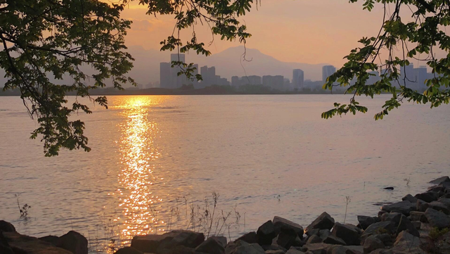 福州深秋宝藏公园，藏着粉黛乱子草与火红水杉，还有绝美沙滩江景