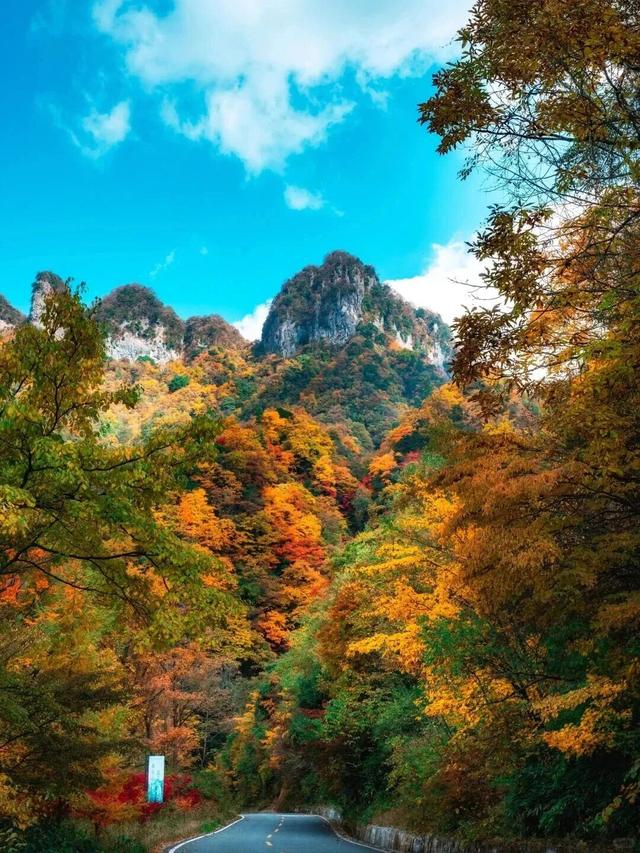 追了光雾山的红叶，这个秋天没白过！