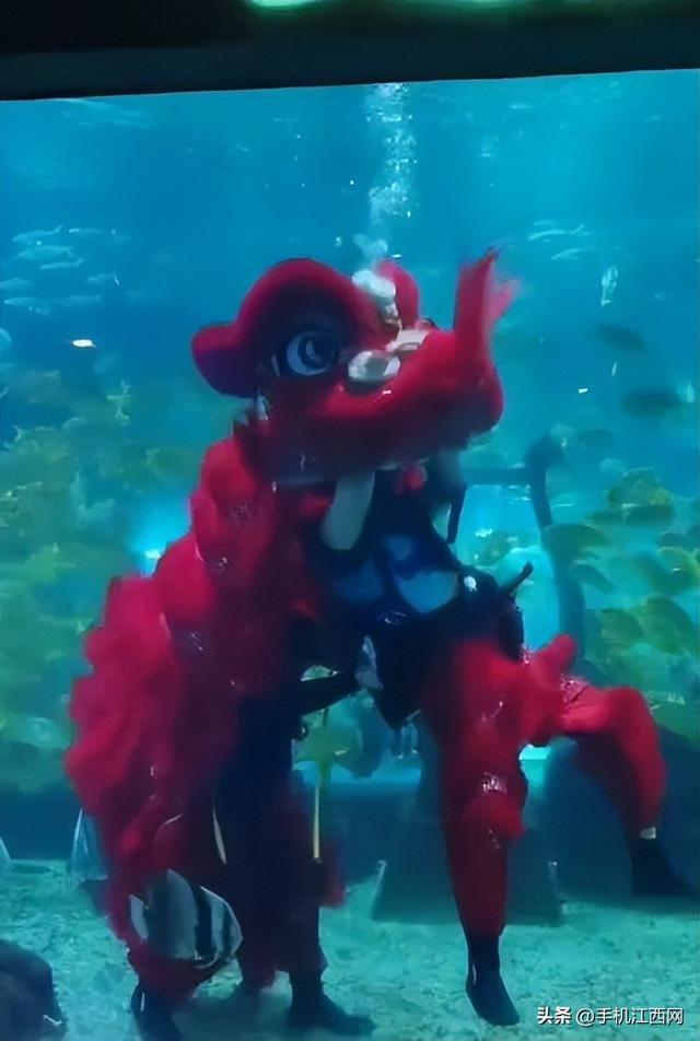 沈阳一海洋馆水下舞狮，网友称像极了《西游记》中的"避水金睛兽"，最新回应：是专业人员，表演时背氧气瓶
