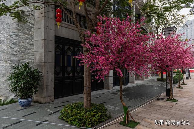 2026佛山超十万人徒步经过这些景点，还有春日赏花地。