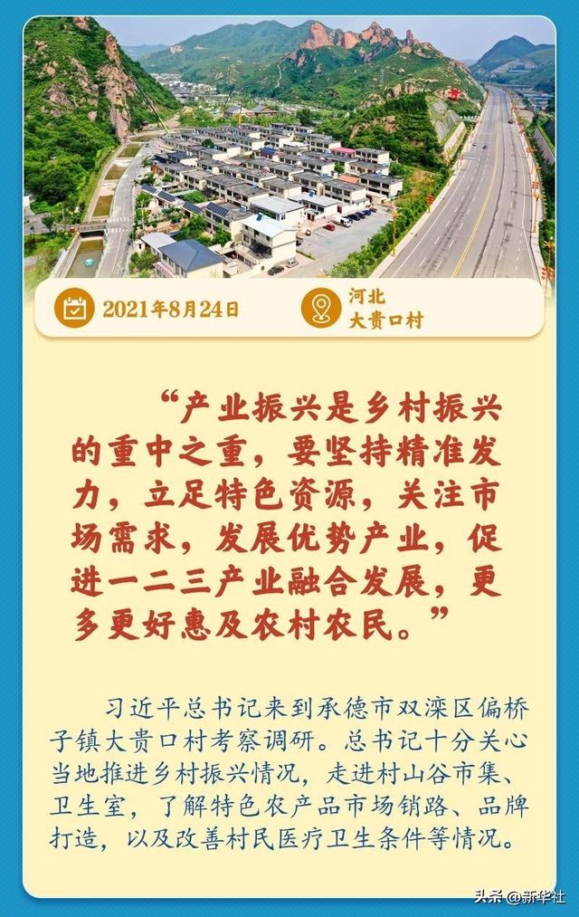 学习新语｜总书记引领推动乡村振兴迈出坚实步伐