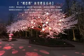 长三角花海打卡指南！沪苏浙皖12个绝美点位，带你抢先拥抱春天~图片