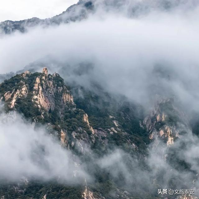 泰山雨后云雾织仙境！泼墨山水里藏着夏日最治愈的奔赴