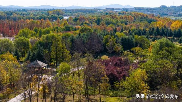 【乐游烟台】最新实拍！烟台鱼鸟河“顶级秋色”加载中