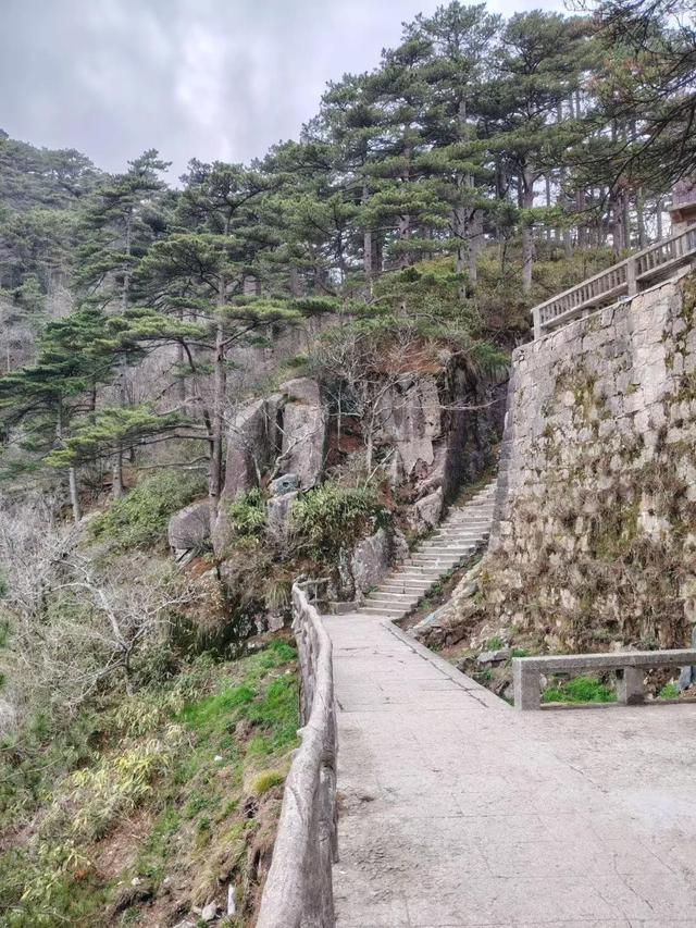 漫步黄山松掩山丛树杪，云隐仙踪徒步蹬道千阶