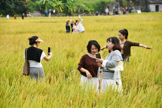 从化区江埔街入选省文旅特色镇入库级名单