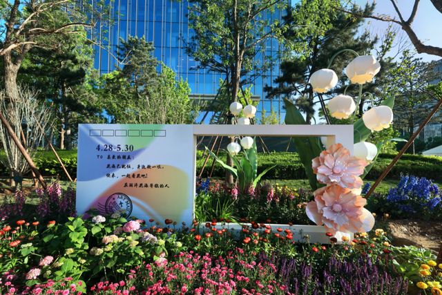 2026北京国际花展丨0元入场，10万平方米室外展区怎么玩