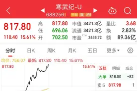 688256，股价重返800元！成交额A股第一图片