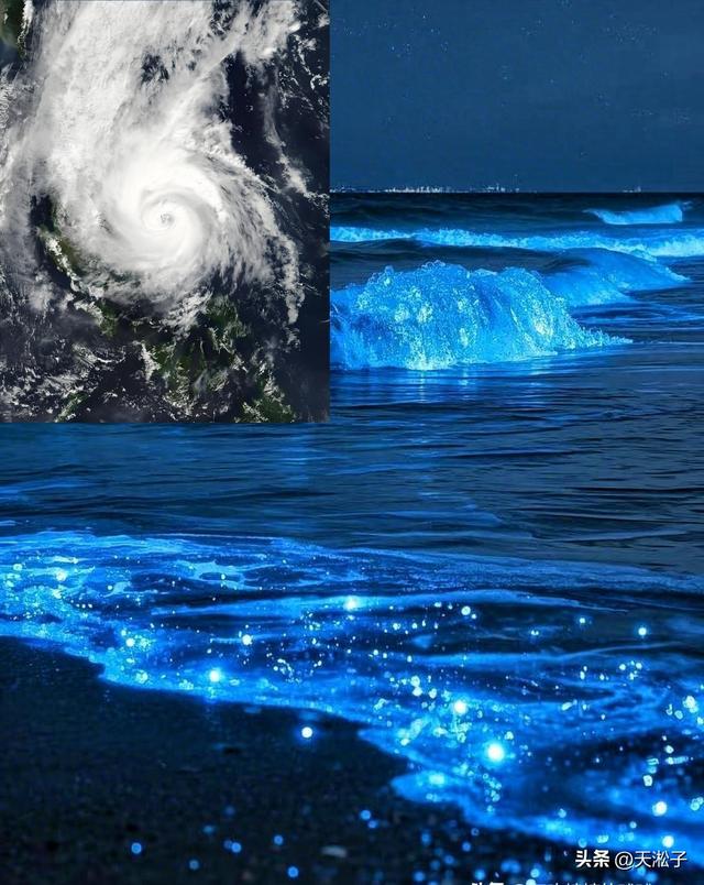 航海日记：随感（9）