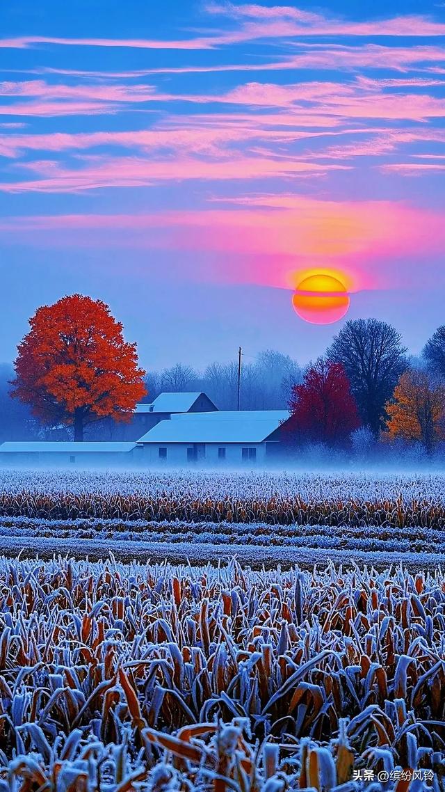 明日霜降，一朝秋暮，遍地霜华