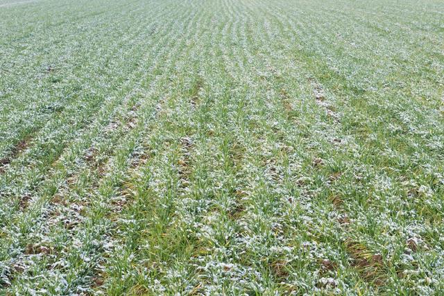 明日立冬，最怕“立冬一日晴”，立冬晴天有啥预兆？还有啥可怕？