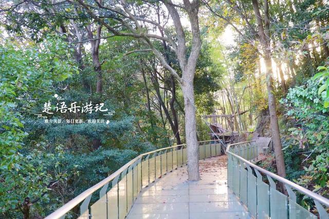浙江宁波的桃源秘境，古枫香扼守村口成迎客盛景，玻璃栈道更好玩