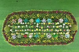 栾川豆腐宴登上央视！图片