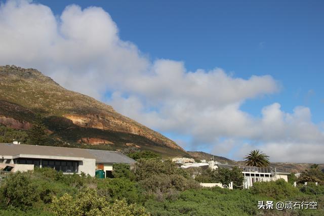 南部非洲：南非开普敦企鹅岛