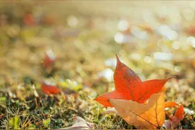 别人对你说“谢谢”，别说“不用谢”，用3句话回复才是高情商图片