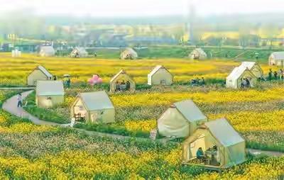 赏花吃春菜露营，春日消费海啸引爆财富密码。