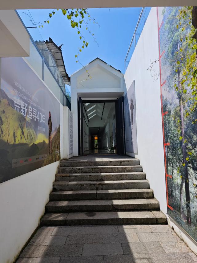 大理银桥 | 以旅居的方式,去发现“景点”和“美食”