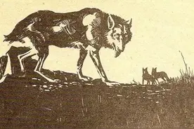 男子山中打猎路遇狐狸讨封，男子：你是神仙，狐狸：送你事事如意图片