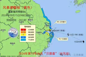 一觉醒来，“贝碧嘉”再升级！所有船舶停航、多趟列车停运、航班取消图片