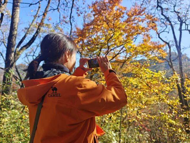 赏秋正当时！自驾来汉中，赴一场秋日视觉盛宴~