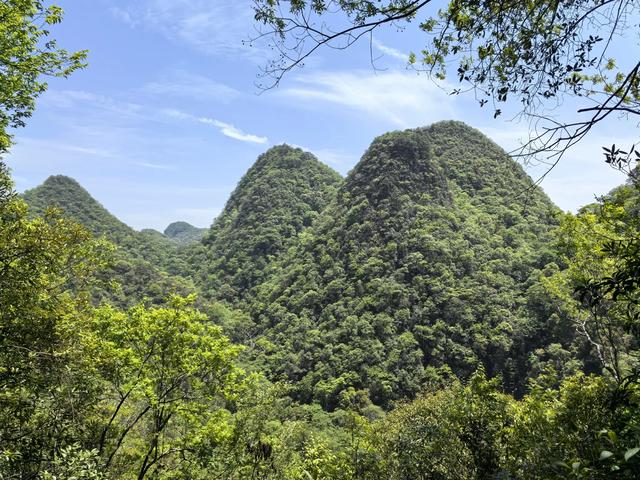 带小朋友去贵州茂兰，连环探洞加漏斗原始森林徒步二日游全攻略！