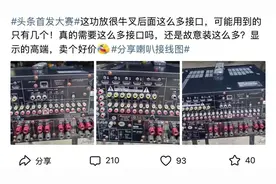 家庭影院功放后面接口为啥那么多？假装高端卖高价？图片